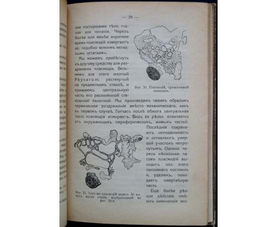 Мечников И. И. Лекции о сравнительной патологии воспаления.