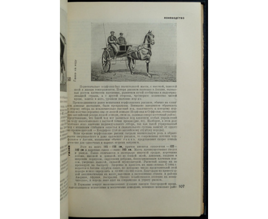 Книга о лошади. Том первый
