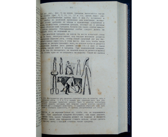 Алтухов П.Г. Лечебник домашних животных и птиц.