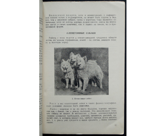 Пупышев П.Ф. Северные промысловые собаки: Воспитание, нахаживание и охота с ними