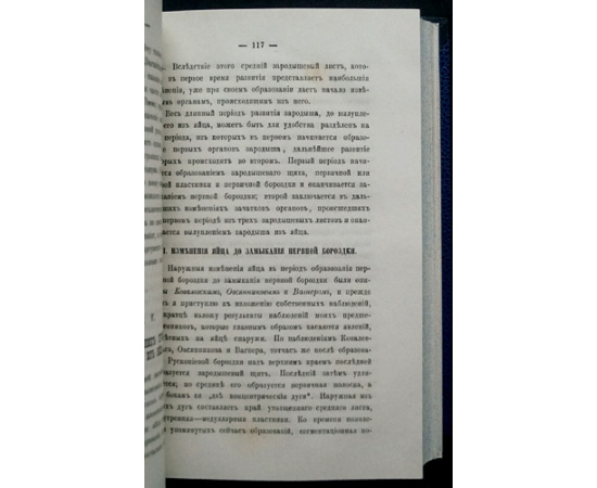 Зеленский В.В. История развития стерляди. Часть I. Эмбриональное развитие + Часть II. Постэмбриональное развитие и развитие органов