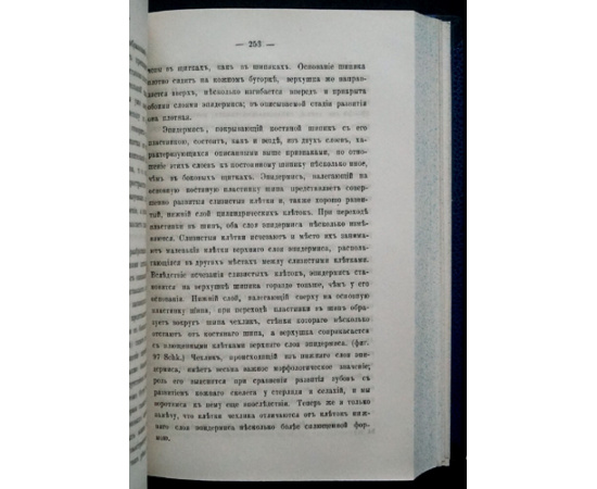 Зеленский В.В. История развития стерляди. Часть I. Эмбриональное развитие + Часть II. Постэмбриональное развитие и развитие органов