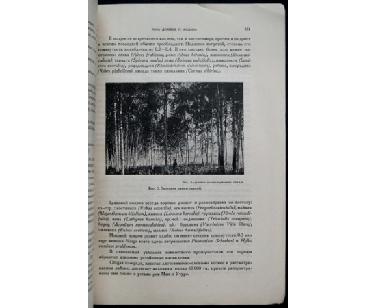 Якутская АССР. Выпуск 3. Лесные ресурсы Якутии