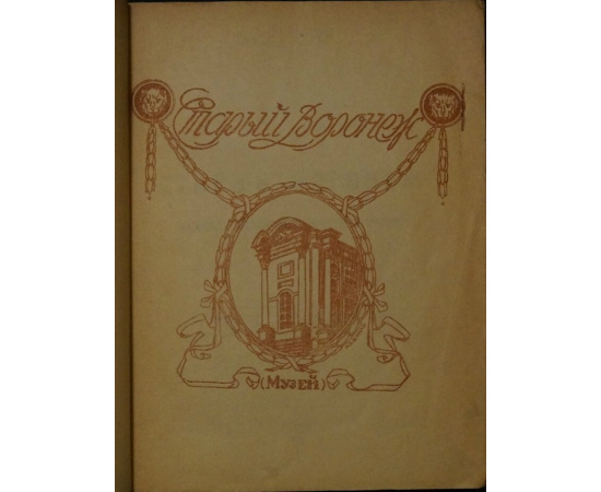 Успенский Ю.И. Старый Воронеж.