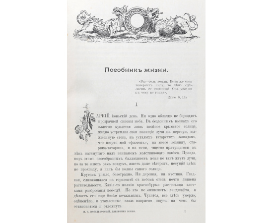 Диковинки Земли. Популярные очерки из жизни нашей планеты
