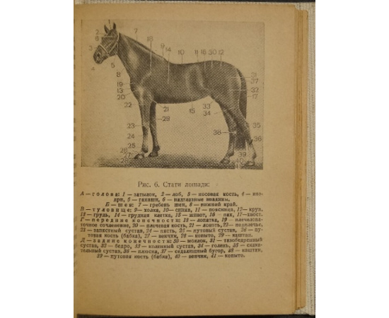 Борисович Ф.К., Попов Б.Н., Семенов И.И., Хитенков Г.Г. Справочник конюха.