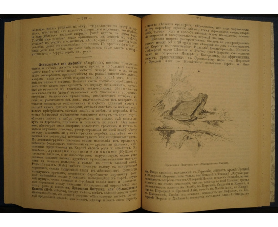 Гааке В. Звери, Птицы и Насекомые Средне-Европейских лесов, их жизнь и нравы