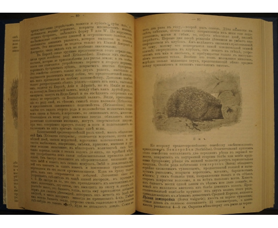 Гааке В. Звери, Птицы и Насекомые Средне-Европейских лесов, их жизнь и нравы