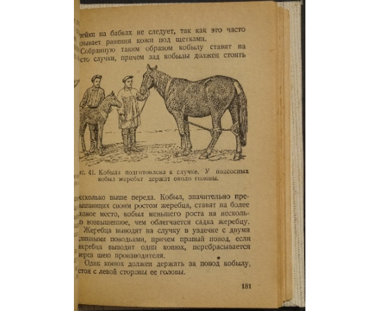Борисович Ф.К., Попов Б.Н., Семенов И.И., Хитенков Г.Г. Справочник конюха.