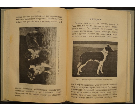 Федорович-Шенец А. Породы собак, воспитание и дрессировка комнатных и натаска подружейных. По системе, основанной исключительно на ласк