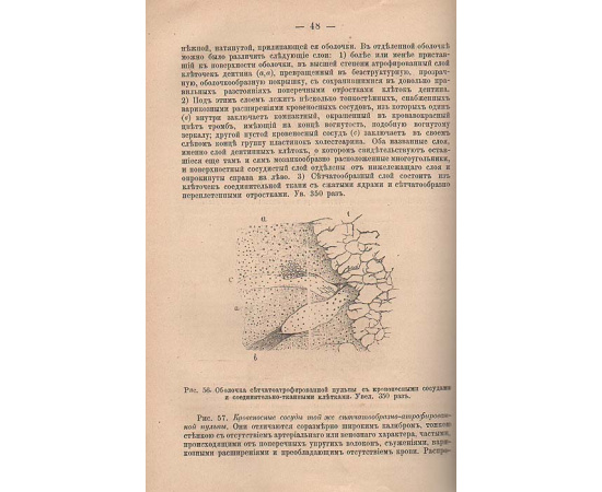 Полный зубоврачебный курс дантиста Ив. Ив. Хрущова. Том 5. Гигиена зубов и полости рта