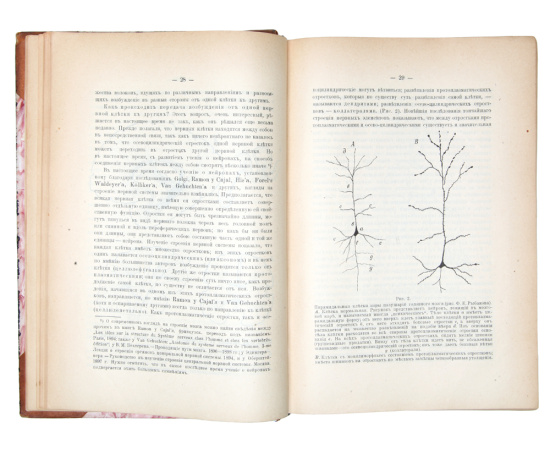 Курс психиатрии в двух томах (в одном переплете)