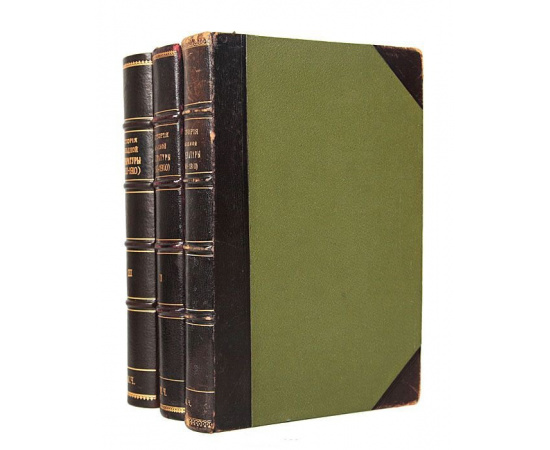 История западной литературы (1800-1910 гг.). В 3 томах (комплект)
