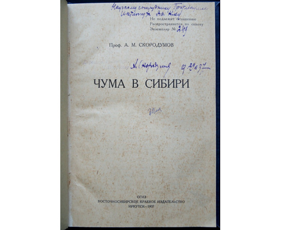 Скородумов А.М., проф. Чума в Сибири.
