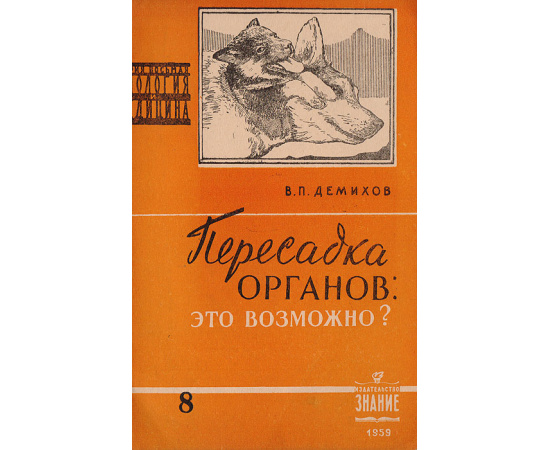 Пересадка органов: это возможно?