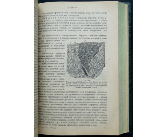 Никифоров М.Н., Абрикосов А.И. Основы патологической анатомии. В двух частях
