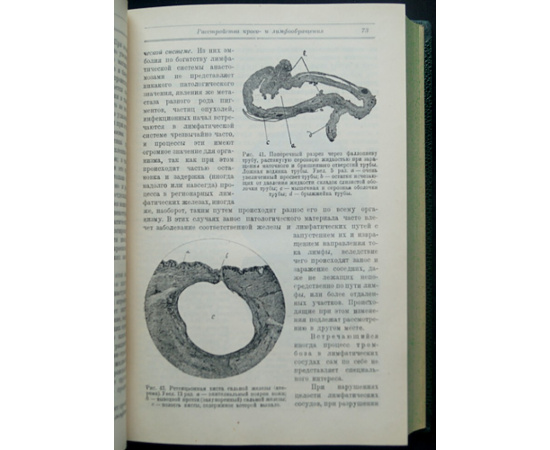 Никифоров М.Н., Абрикосов А.И. Основы патологической анатомии. В двух частях