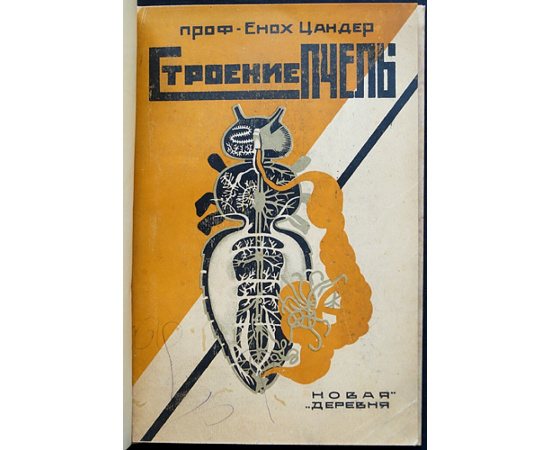 Цандер Енох, проф. Строение пчелы: Пчела и ее строение.