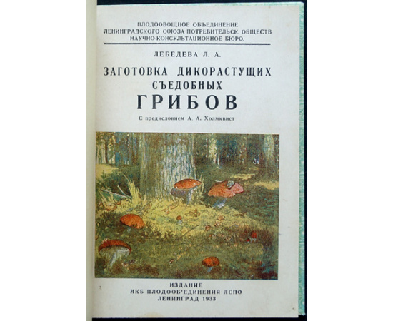 Лебедева Л.А. Заготовка дикорастущих съедобных грибов.