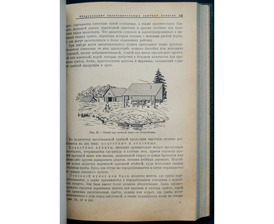 Лебедева Л.А. Грибы. Заготовка и переработка