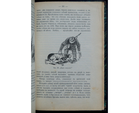 Капитанов В.И. Сторожевые, охотничьи и комнатные собаки