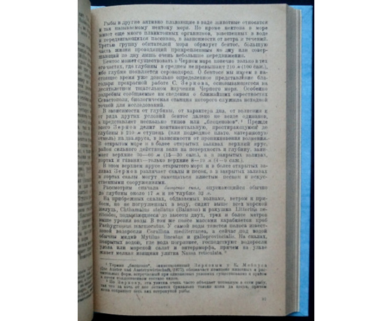 Танфильев Г.И. Моря - Каспийское, Черное, Балтийское, Ледовитое, Сибирское и Восточный океан