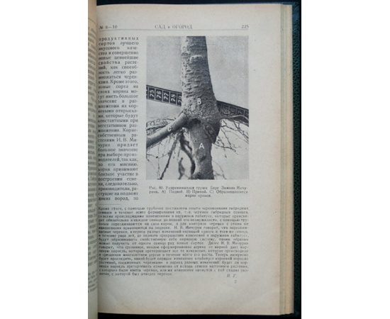 Сад и Огород. №№ 1 - 10. 1926 г.