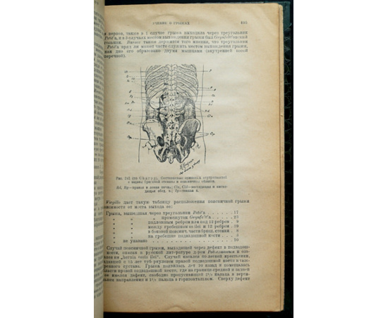 Крымов А.П., проф. Учение о грыжах.