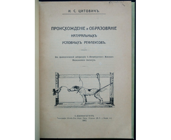 Цитович И.С. Происхождение и образование натуральных условных рефлексов.