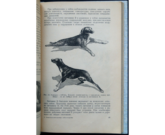 Веселовский И. А. Сельскохозяйственное собаководство.