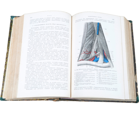 Руководство к топографической анатомии в применении к хирургии