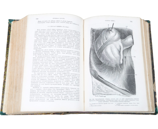 Руководство к топографической анатомии в применении к хирургии