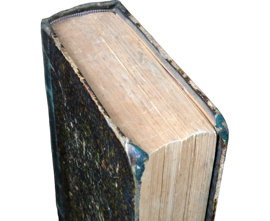 Руководство к топографической анатомии в применении к хирургии