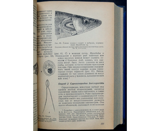 Павловский Е.Н., проф. Курс паразитологии человека (С учением о переносчиках инфекций и инвазий).