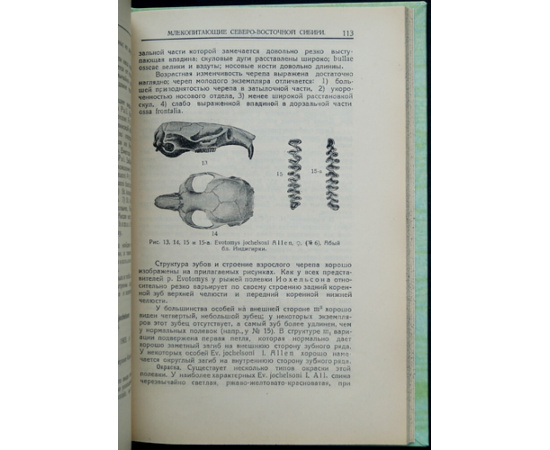 Огнев С.И. Млекопитающие Северо-Восточной Сибири.