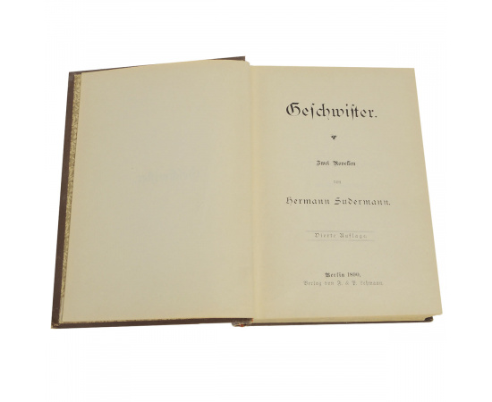 Geschwister книга
