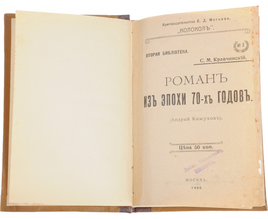 Роман из эпохи 70-х годов (Андрей Кожухов)