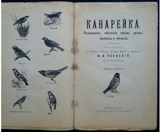 Раевский Ф.В. Канарейка. Разведение, обучение пению, уход, болезнь и лечение