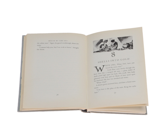 House by the Sea книга