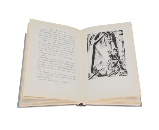 House by the Sea книга