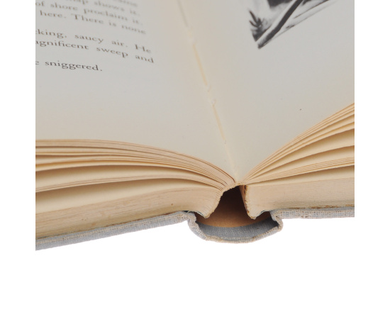 House by the Sea книга