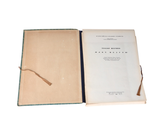 Т. Жерико. "Плот Медузы"