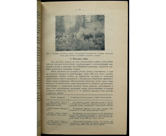 Баранов В.И., Смирнов М.Н. Пихтовая тайга на предгорьях Алтая.