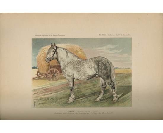Par M. le Dr Leonid de Simonoff et M. Jean de Moerder Les races chevalines, avec une etude speciale sur les chevaux russes книга