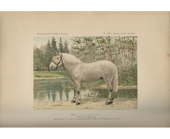 Par M. le Dr Leonid de Simonoff et M. Jean de Moerder Les races chevalines, avec une etude speciale sur les chevaux russes книга