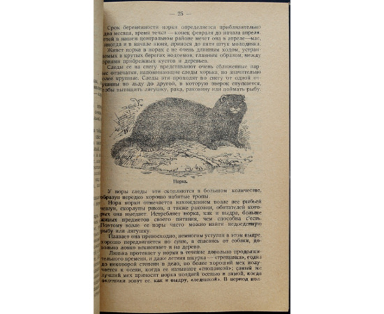 Каверзнев В.Н. Промысловые звери наших пресных водоемов. Речная выдра, норка, выхухоль, речной бобр, водяная крыса.