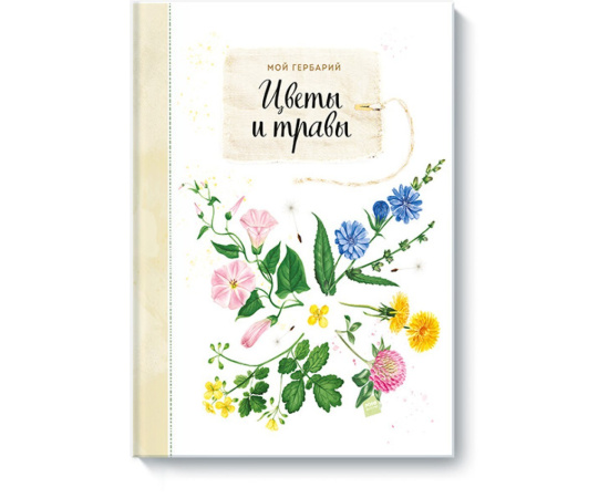 Васильева Анна , Винникова Светлана. Мой гербарий. Цветы и травы