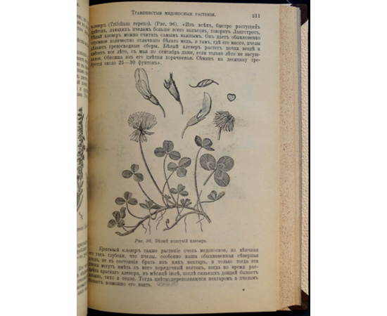 Куханович А.Ф. Пчела и пчеловодство. Полный курс пчеловодства для начинающих пчеловодов.