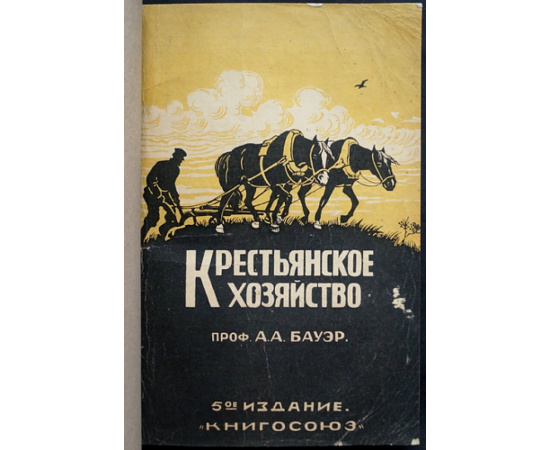 Бауэр А. А. Крестьянское хозяйство.