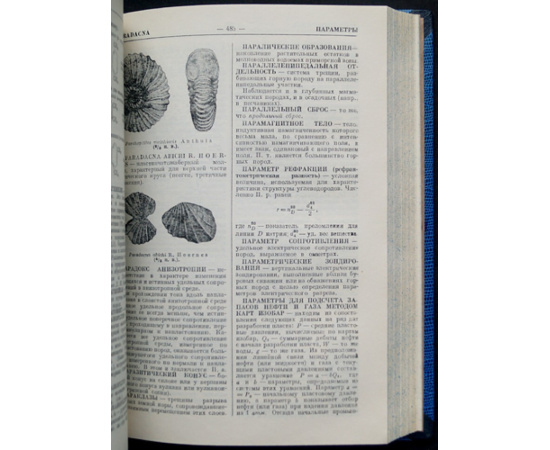 Словарь по геологии нефти.